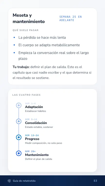 Página de la línea de tiempo fase por fase