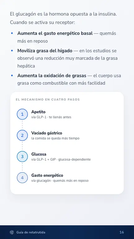 Página del mecanismo en cuatro pasos